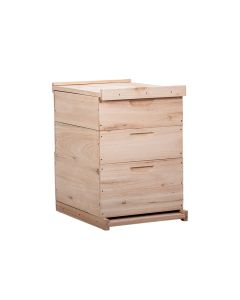 Caixa Para Abelhas Padrão Langstroth Em Eucalipto Com 2 Melgueiras Com Quadros Com Arame