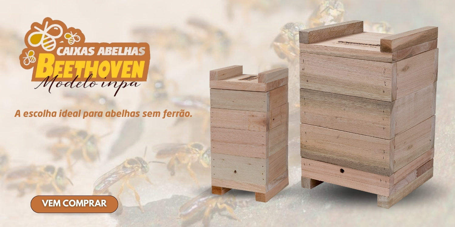 A melhor caixa INPA para abelhas sem ferr&atilde;o do Brasil