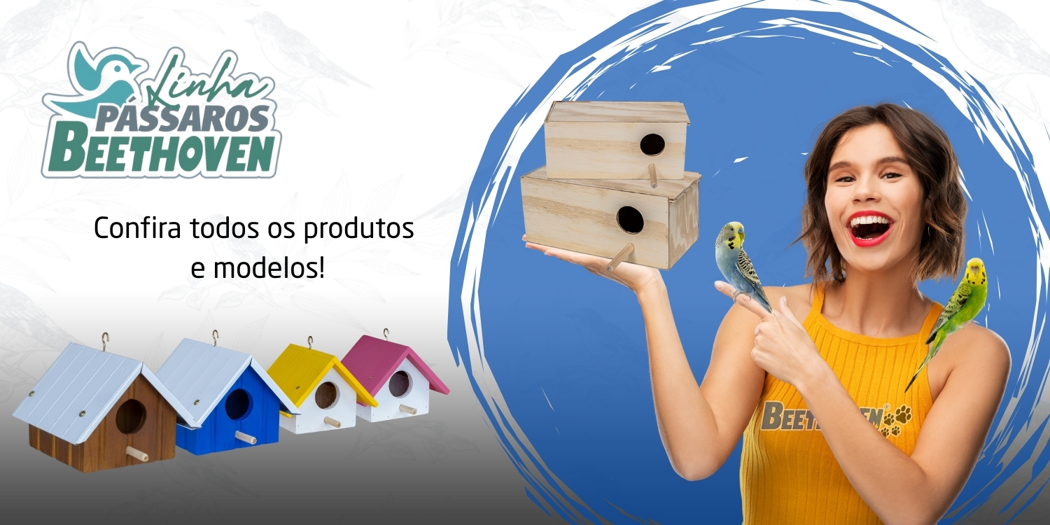As melhores casinhas e comedouros para p&aacute;ssaros!