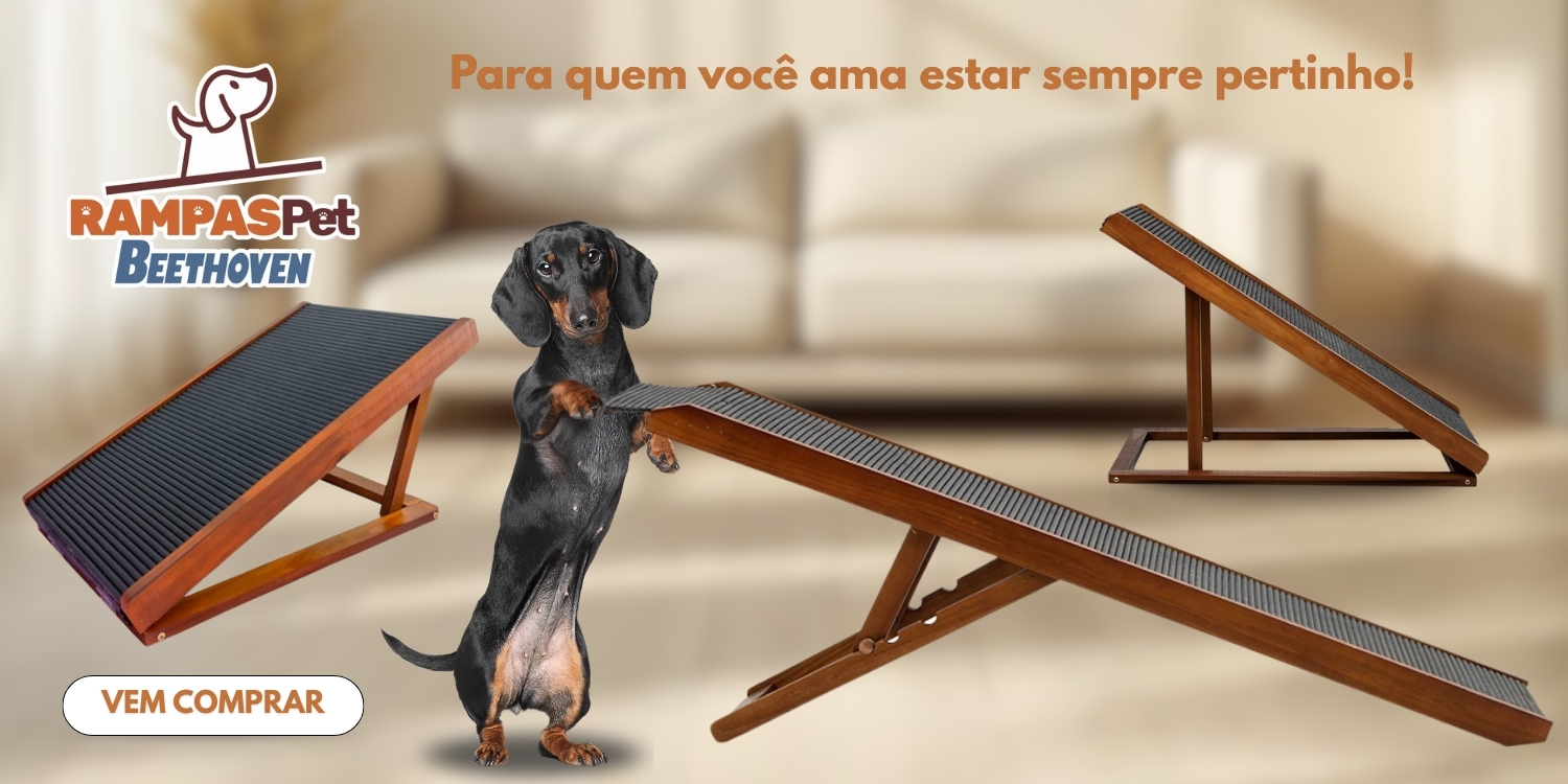 As melhores rampas para seu pet!